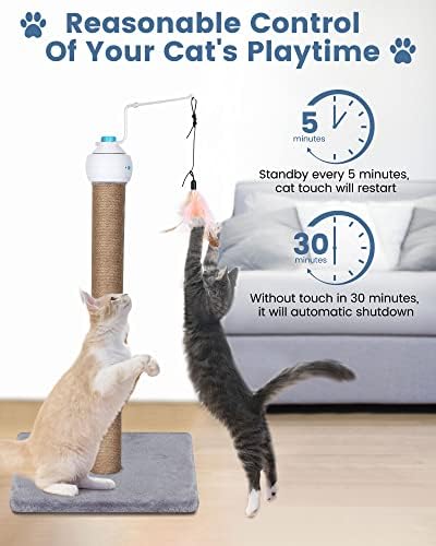 HAPPY HACHİ Otomatik İnteraktif Kedi Oyuncakları, 3'ü 1 Arada Elektronik Egzersiz Kedi Tüyü Oyuncakları Kapalı Kediler