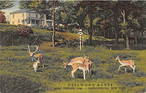 Dellwood Dönümleri, Arno Kreller, Prop Narrowsburg, New York, Kartpostal