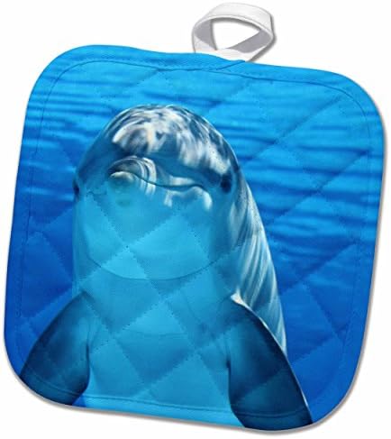 3D Gül Mavi Yunus Deniz Yaşamı Pot Tutucu, 8x8