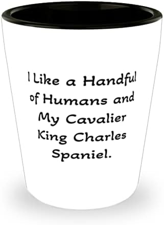 Şaka Cavalier King Charles Spaniel Köpek Shot Glass, Bir Avuç insanı ve Cavalier'ımı Severim, Evcil Hayvan Severler