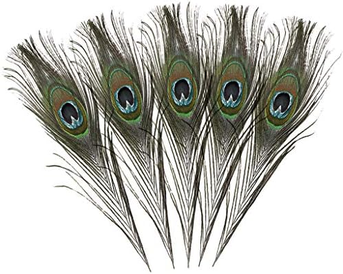 CANAFA Tavuskuşu Doğal Kuyruk DIY Gerçek Sürü Göz Tüyleri Crafts25-30cm / 9.8-11.8 İnç Ev Dekor Yapay Bitkiler ve